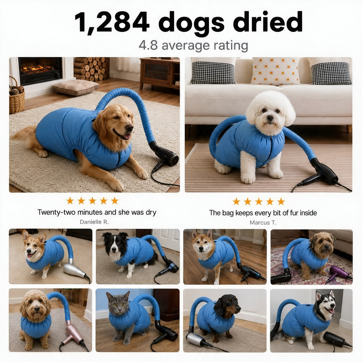 Bemerio™ Drying Bag – Quick Dry Pet Hair Drying Suit for Small, Medium & Large Dogs