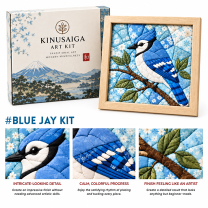 Traditional Japanese Kinusaiga Art Kit